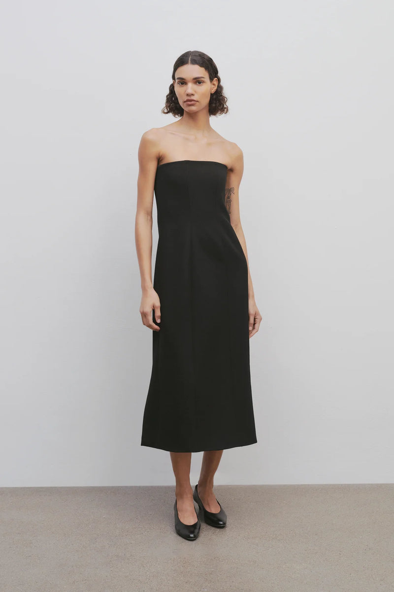 Melonia Strapless Paneled Dress