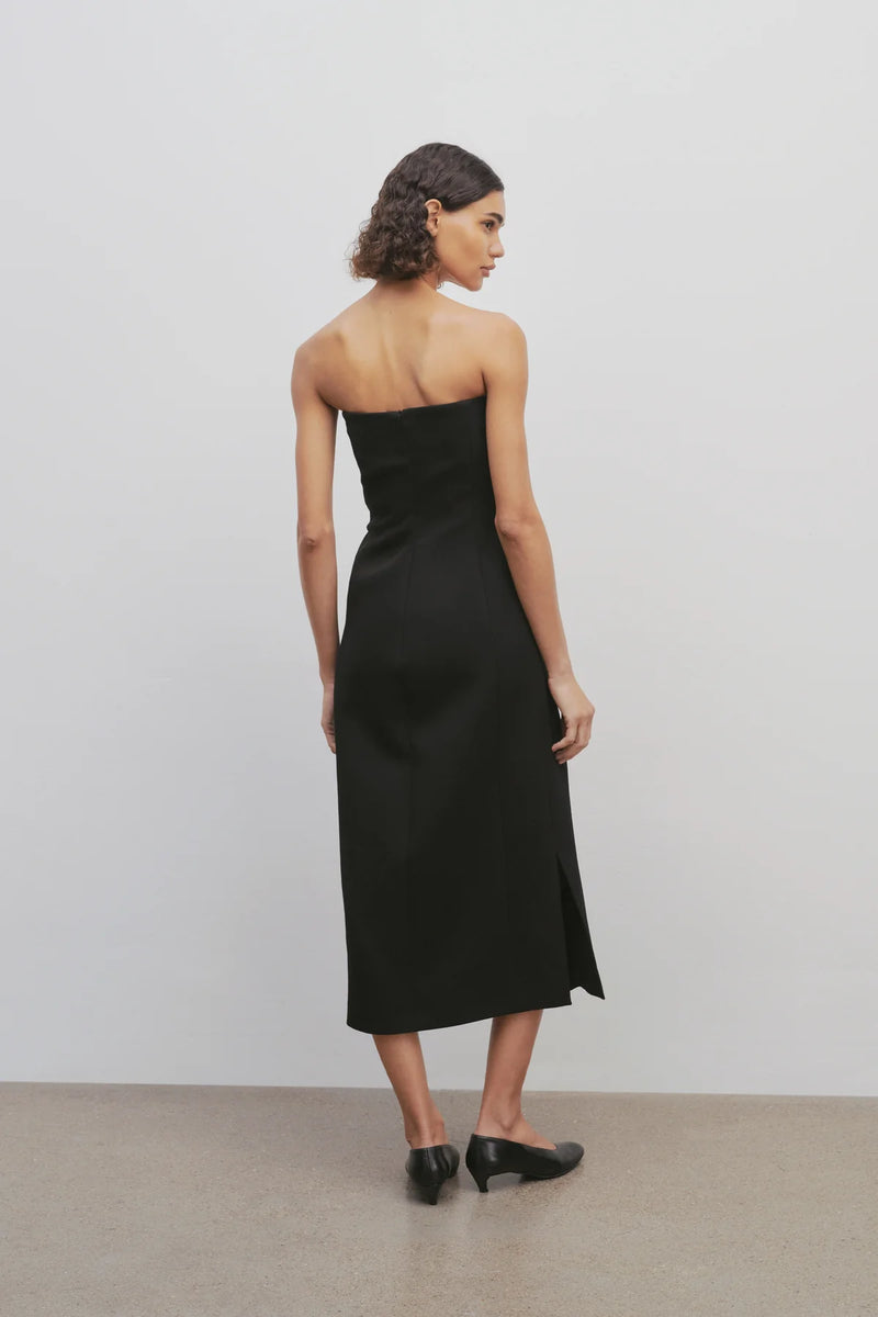 Melonia Strapless Paneled Dress