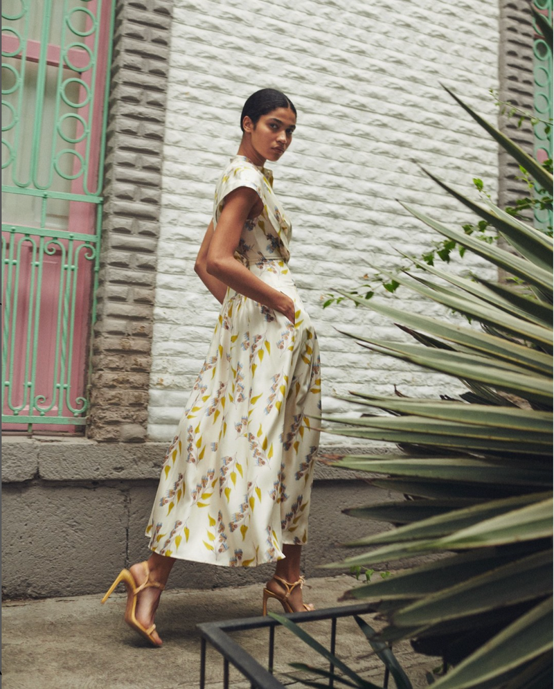 Lausanne Button Up Silk Dress