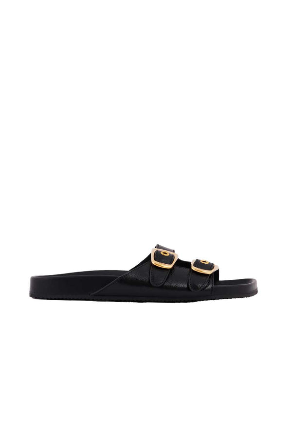 Polly Slides