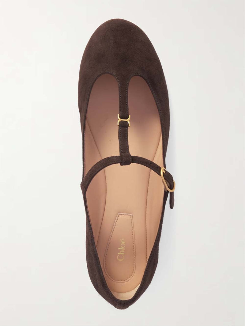 Marcie Embellished Suede Ballet Flats