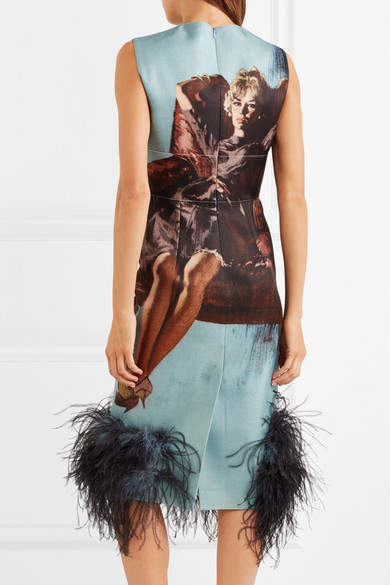 Feather-trimmed Printed Wool & Silk-blend Dress