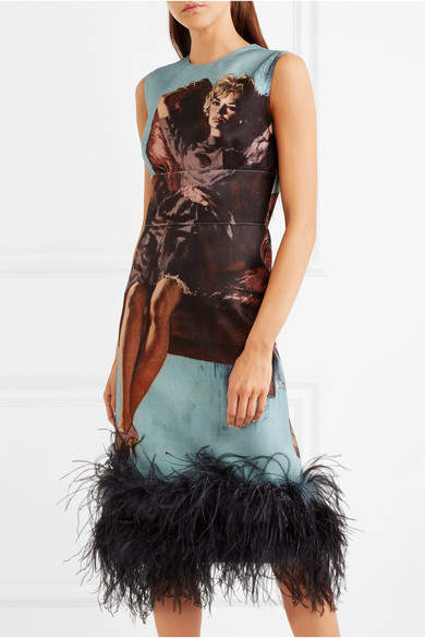 Feather-trimmed Printed Wool & Silk-blend Dress