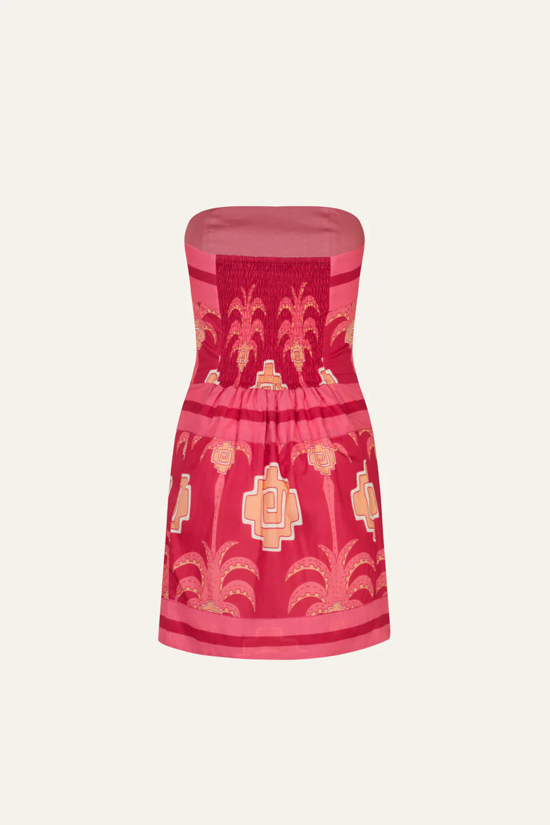 Raiz Ritual Strapless Mini Dress
