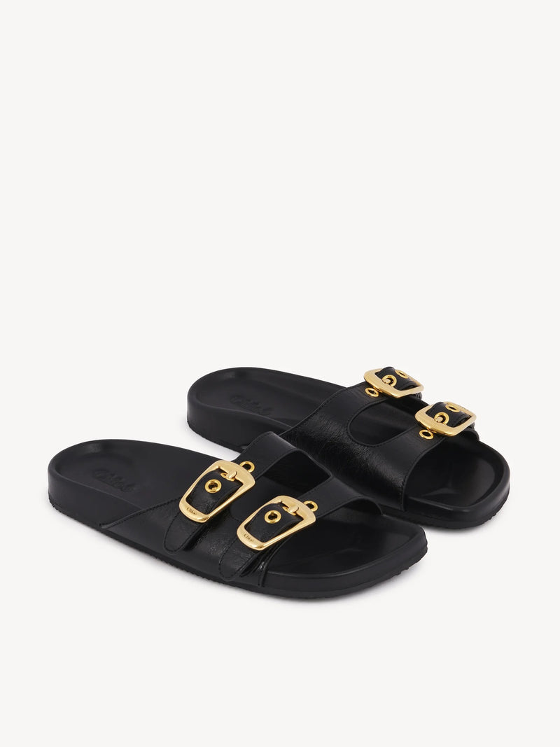 Polly Slides