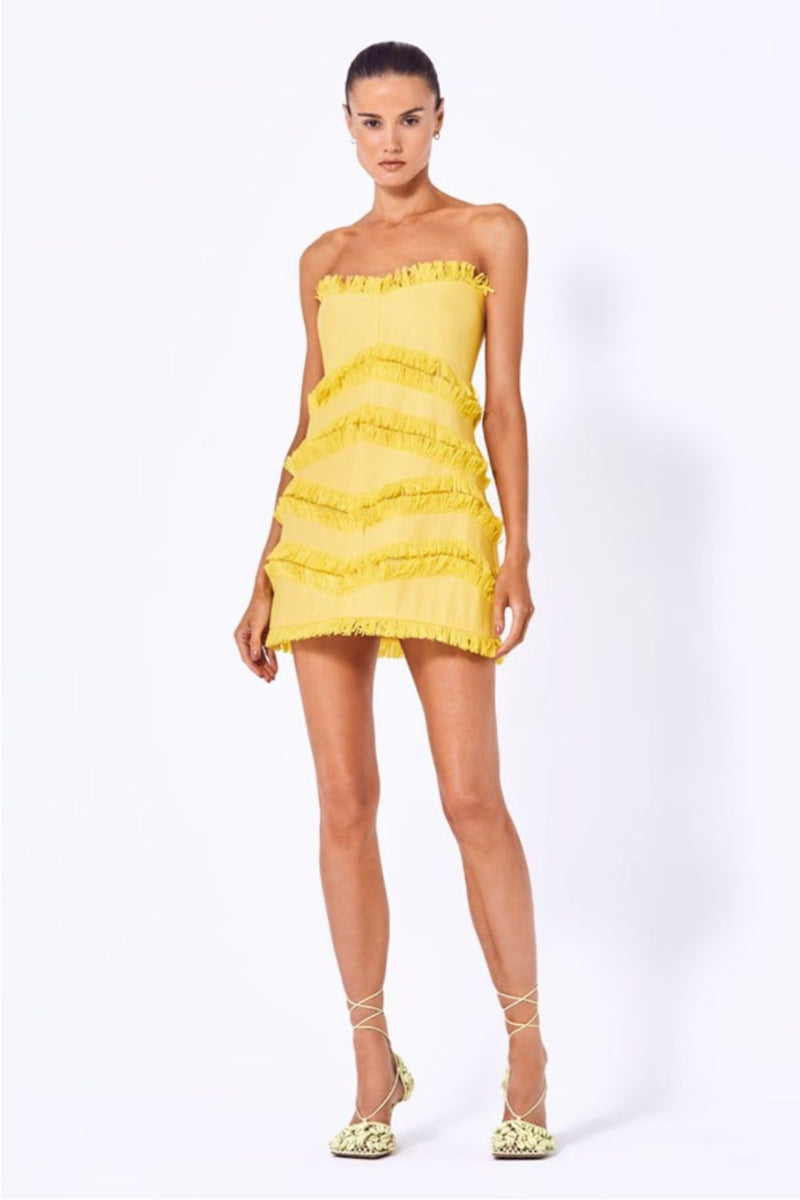 Bec and bridge hibiscus golden best sale mini