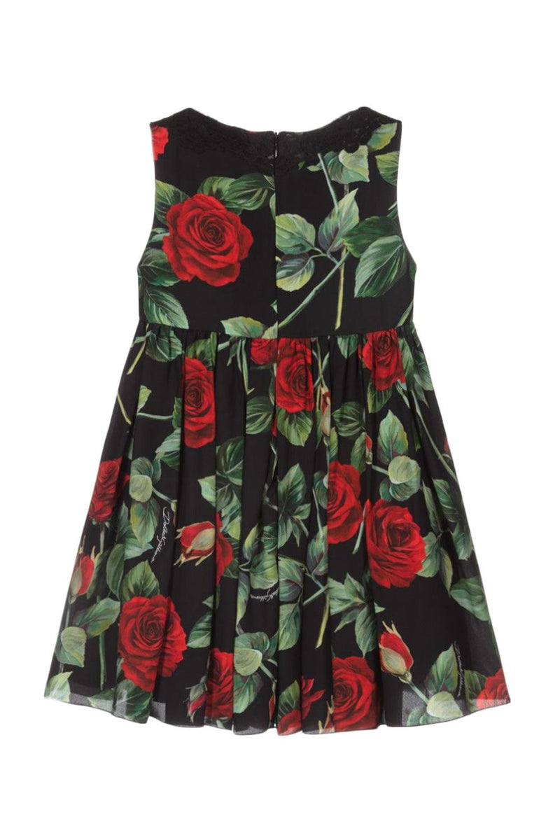 Sleeveless Rose Print Dress