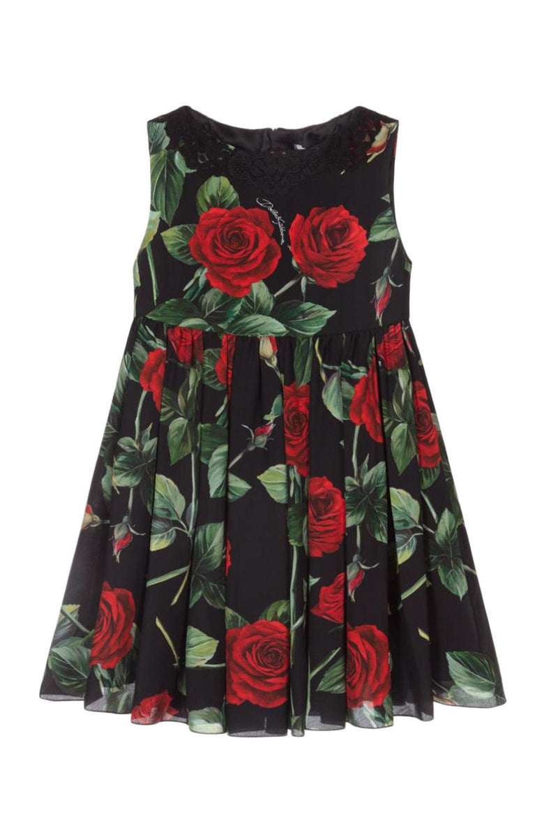 Sleeveless Rose Print Dress