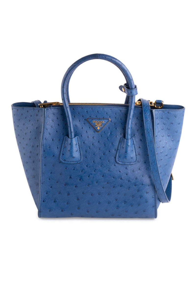 Prada Bag in Voyage Blue Ostrich Leather With Turnlock - RARE Handbag –  Essex Fashion House