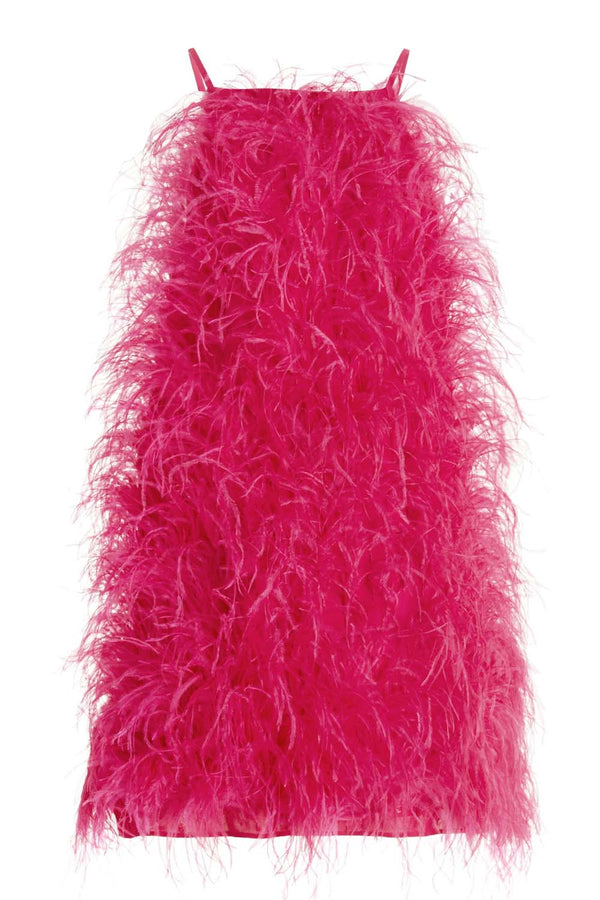 Shannon Feather Embellished Dress